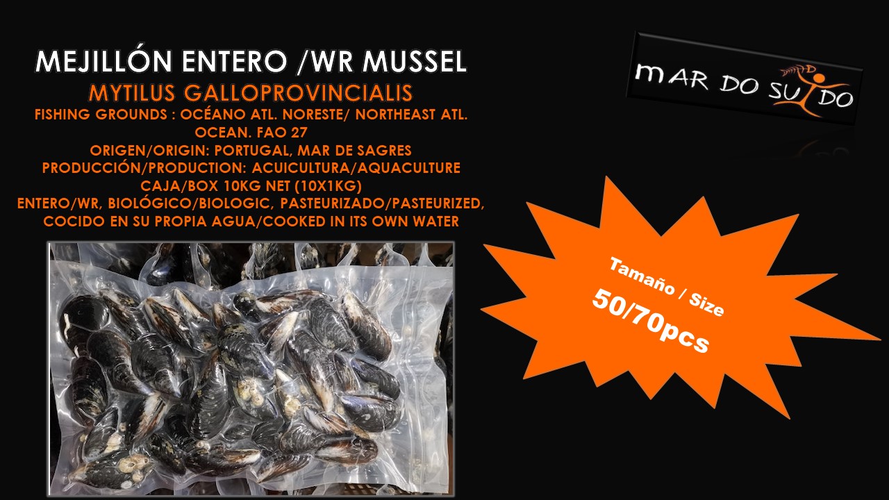 Oferta Destacada de Mejillón - Mussel Special Offer