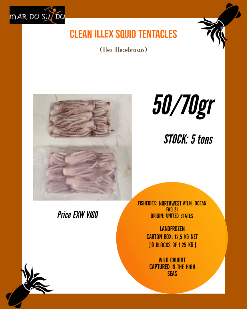 Clean Illex Squid Tentacles